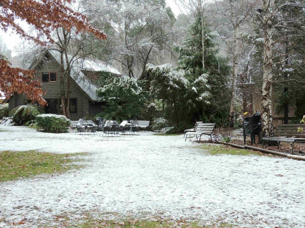 Mountain View Holiday Retreat Harrietville Exterior photo